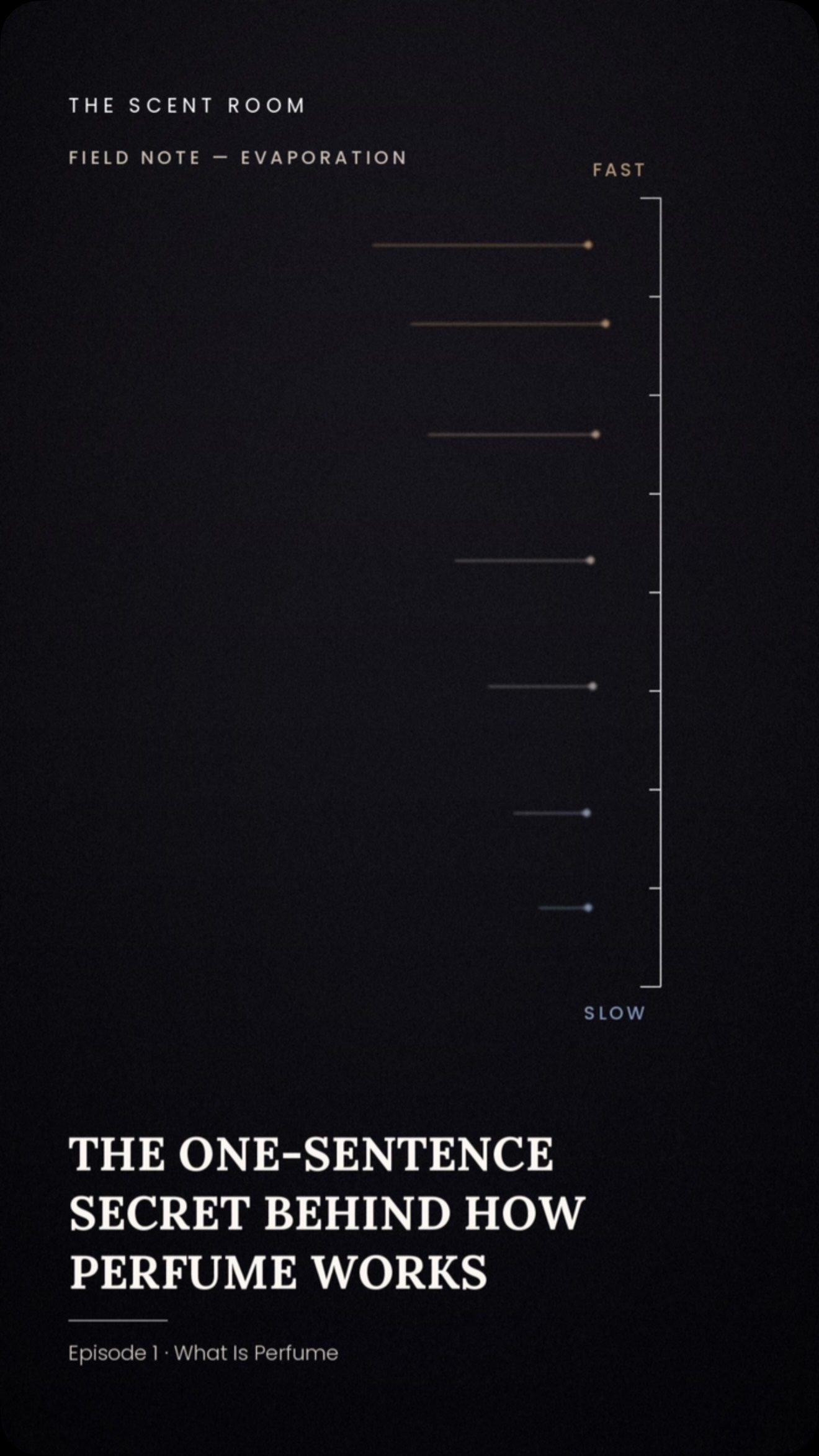 772956486_18442998343192205_4333958876383774050_n